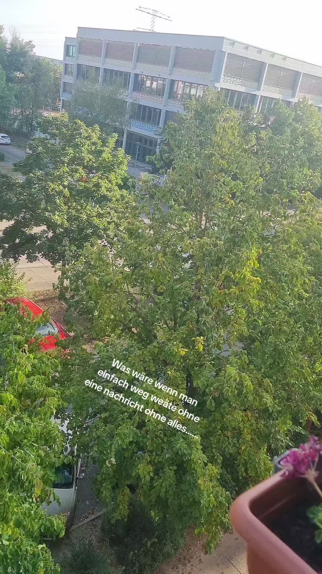 @Justin Schulz