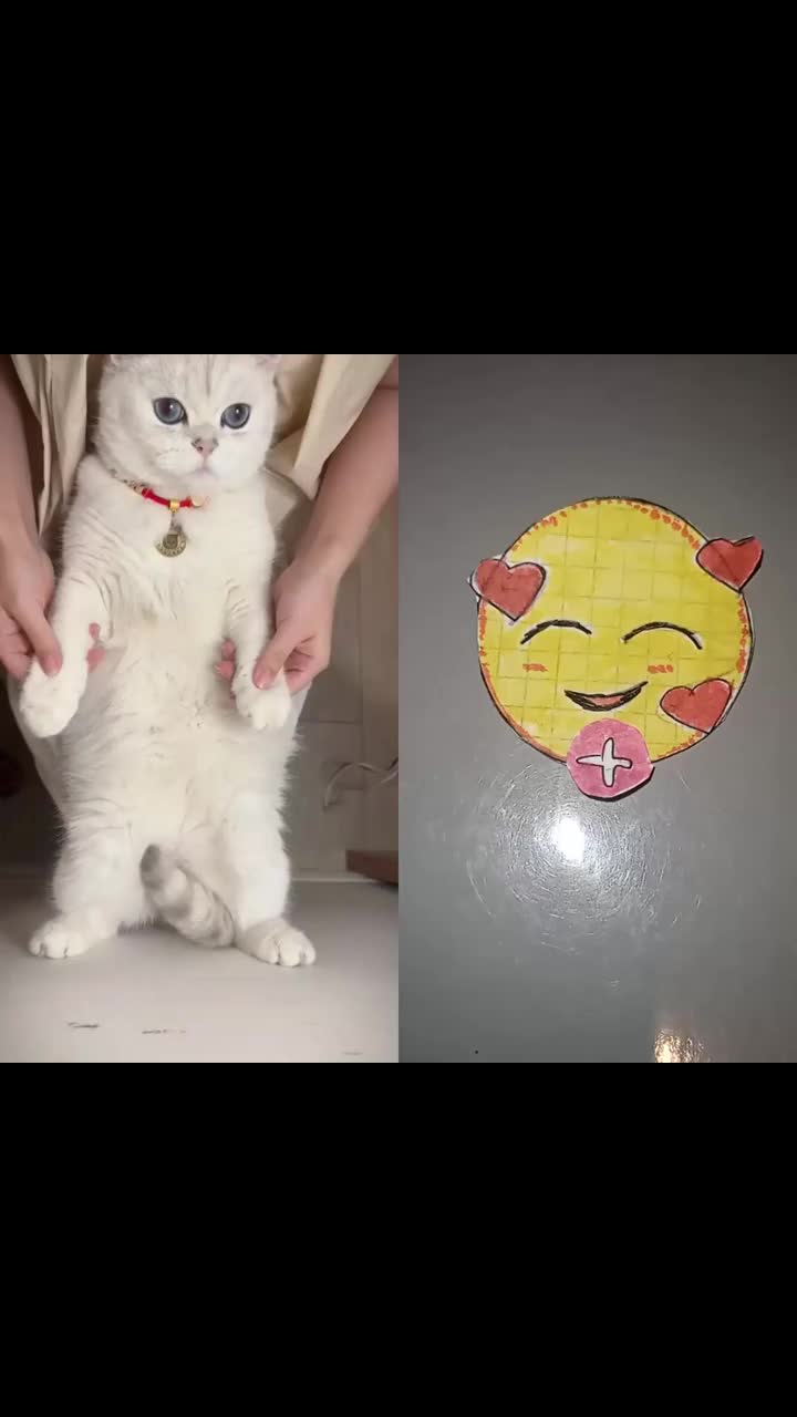 @MAX53573