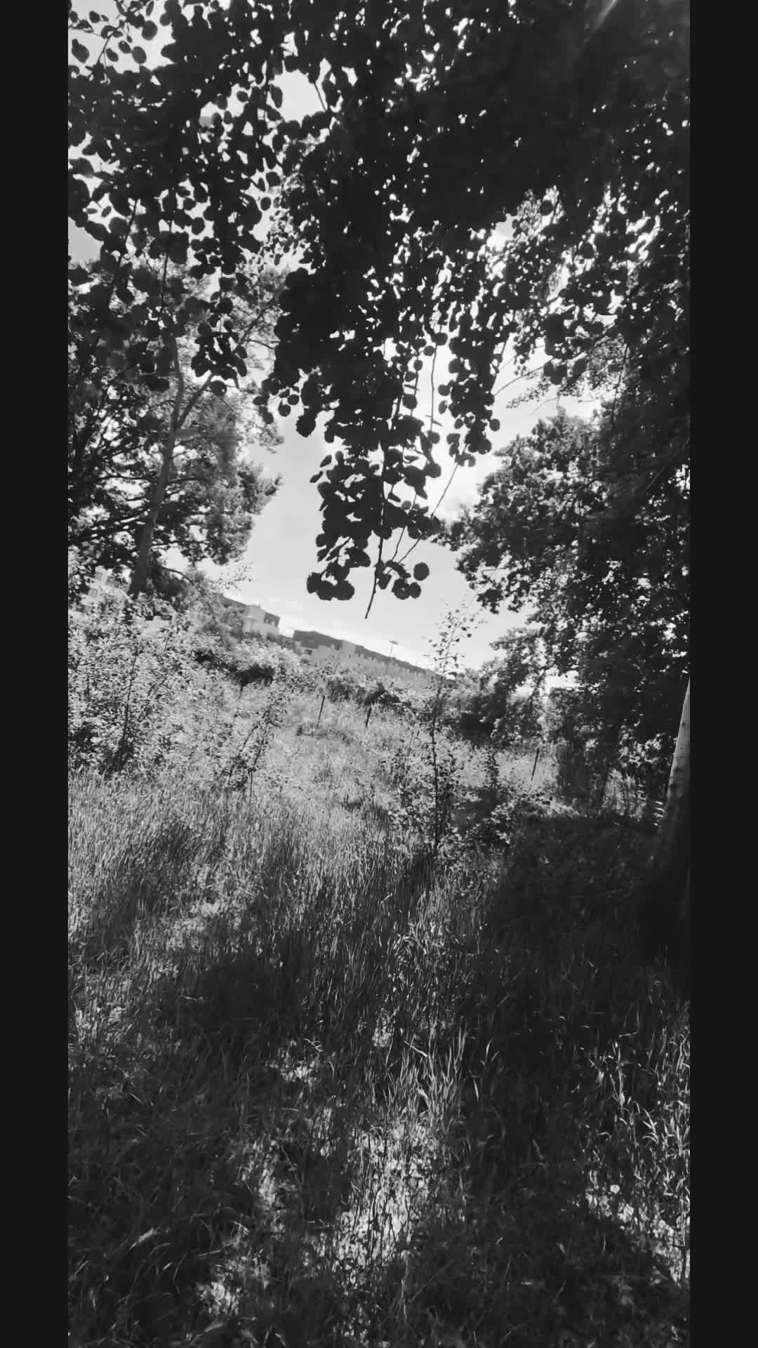 @Narrator Życia
