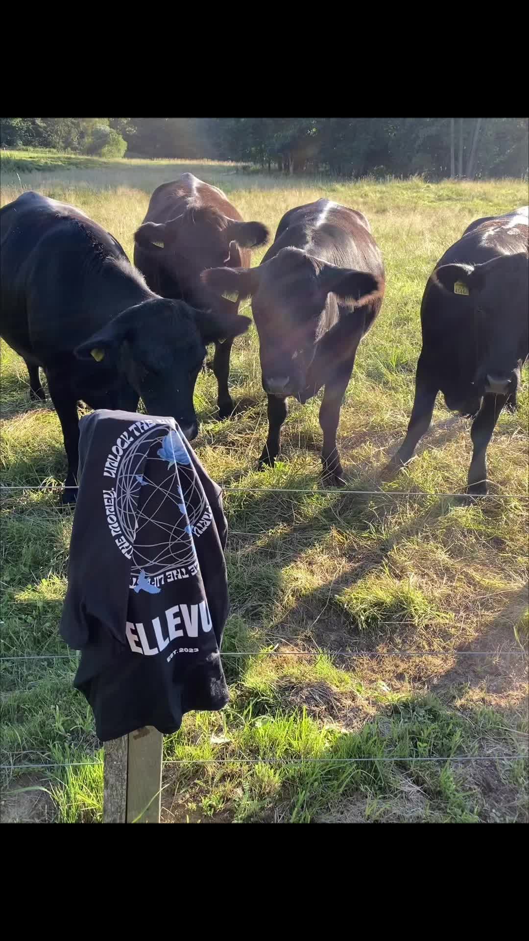 @ELLEVUE CLOTHING