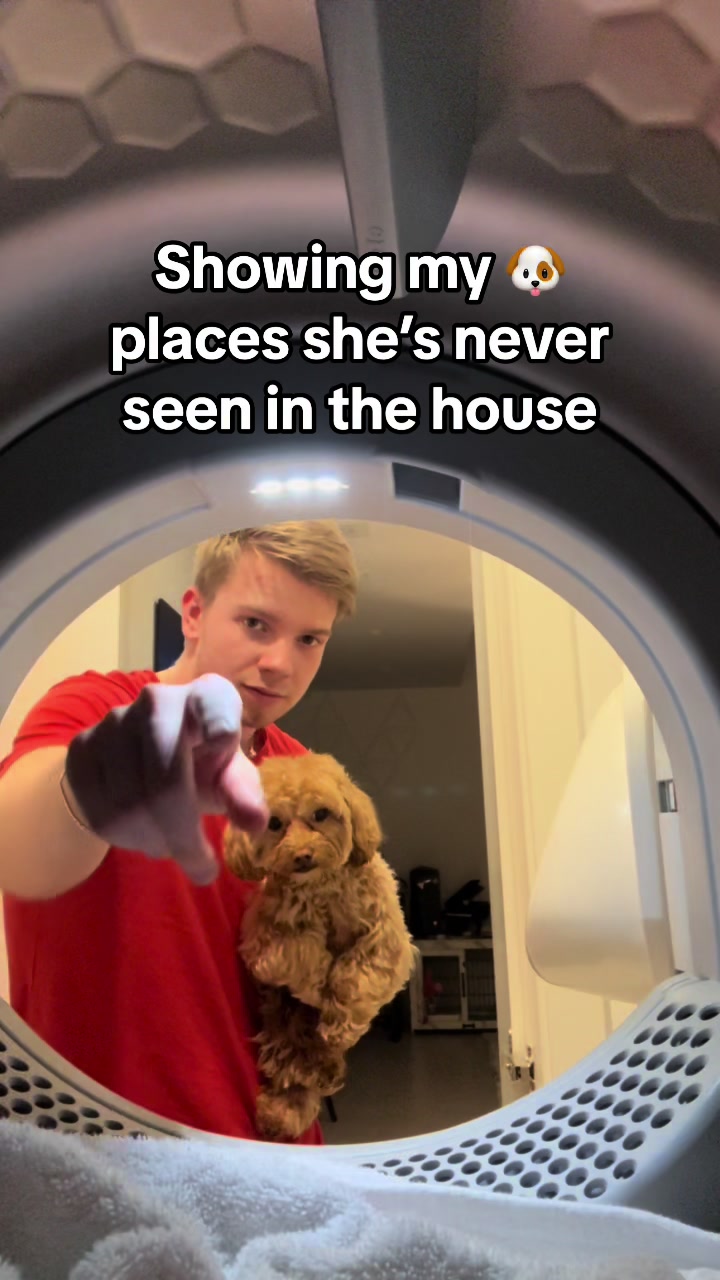 @robertshwartzman