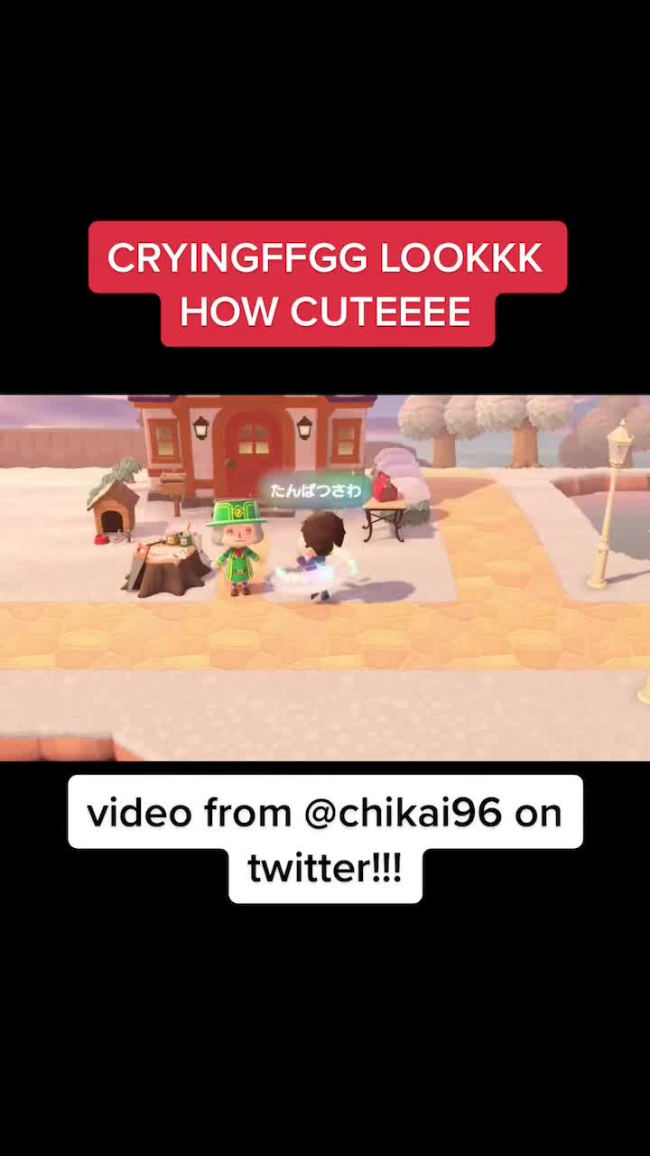 @polkoo
