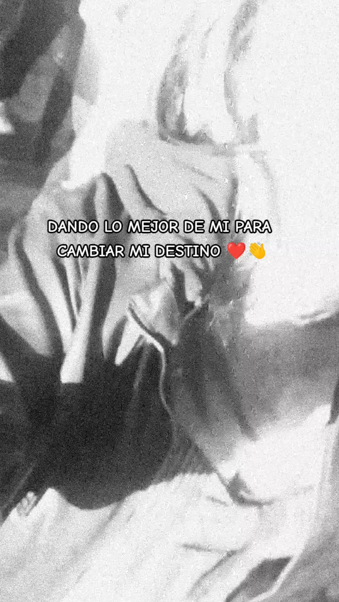 @Carol ANICAMA