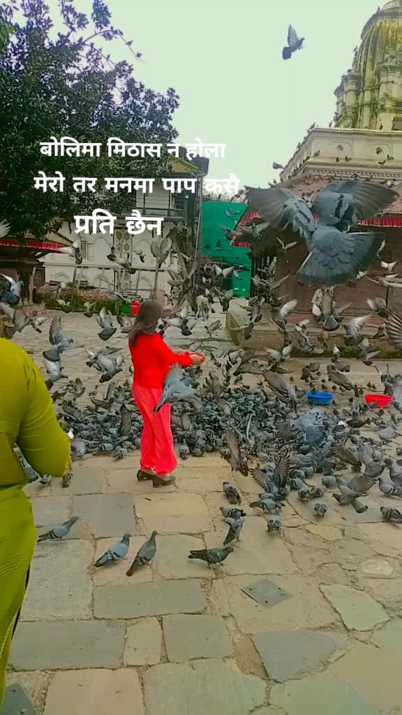 @Bimala Pariyar481