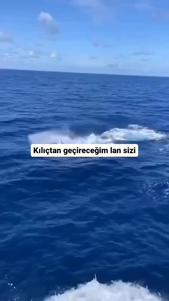 @๐น๐ทโÖ๐๐Ü๐๐โ๐น๐ท
