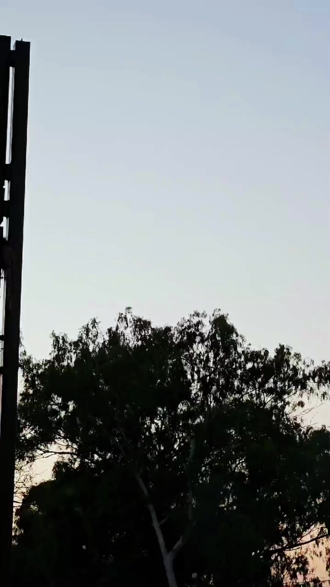 @DannyXRS🔥