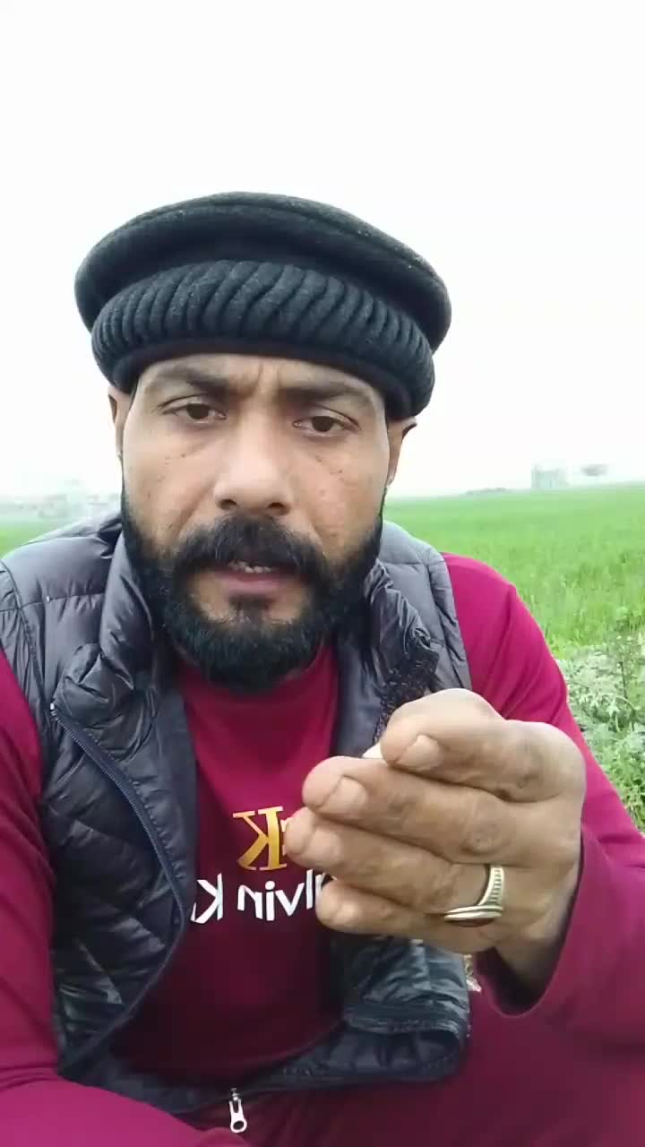@پرانے پنڈ پرانے لوک