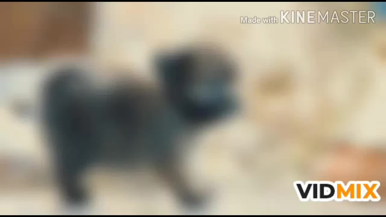 @kiran kumar