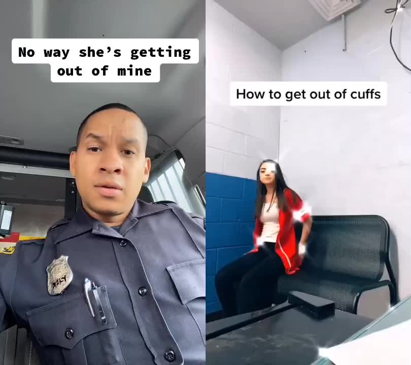 @CoolPig