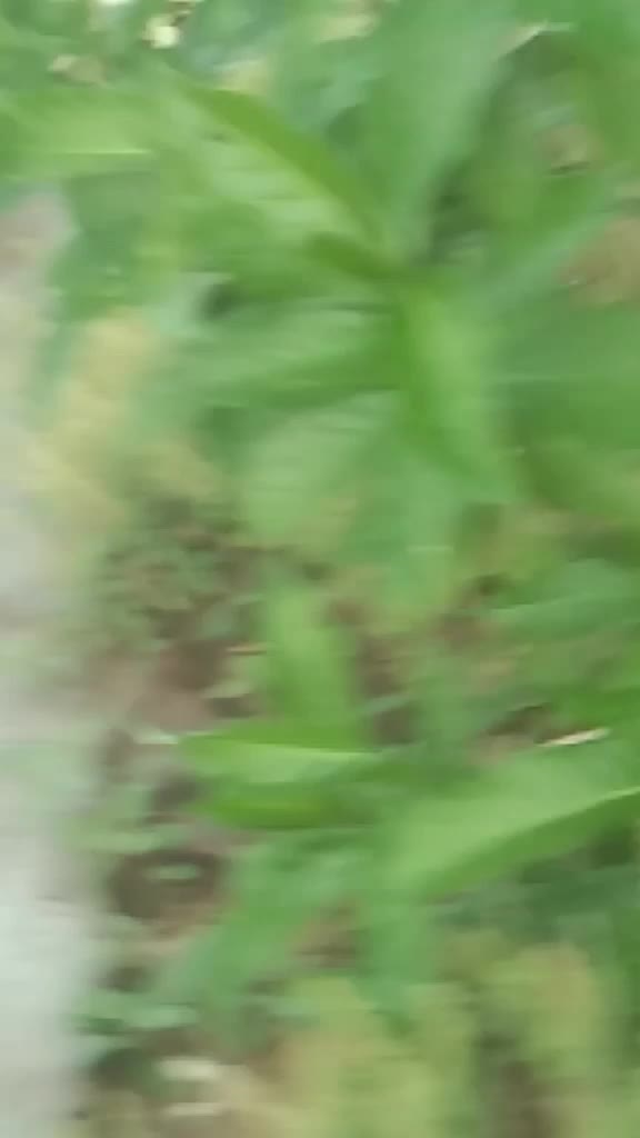 @user094297