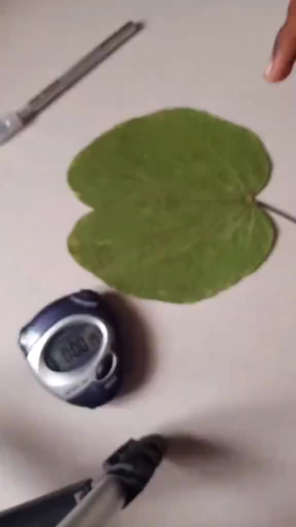 @๐ๆถลáßà้ฎ๐