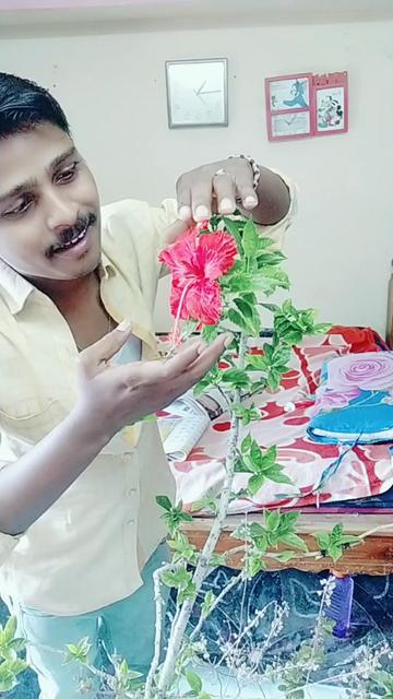 @user993582