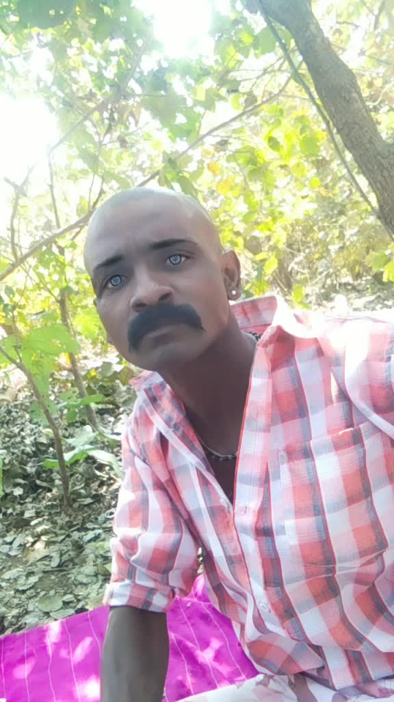 @Don Babul