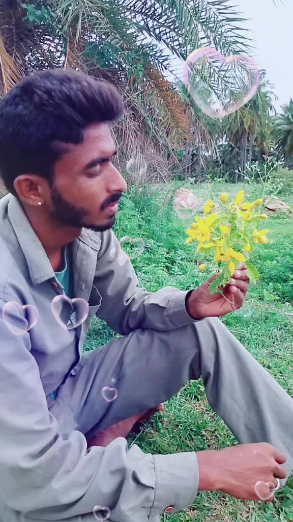@ಪವನ್-ಪೃಥ್ವಿರಾಜ್ ಹಾಸನ