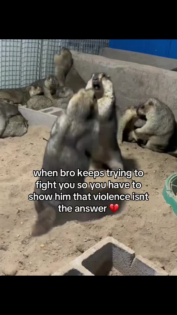@JJ
