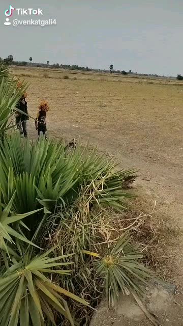 @venkatgali