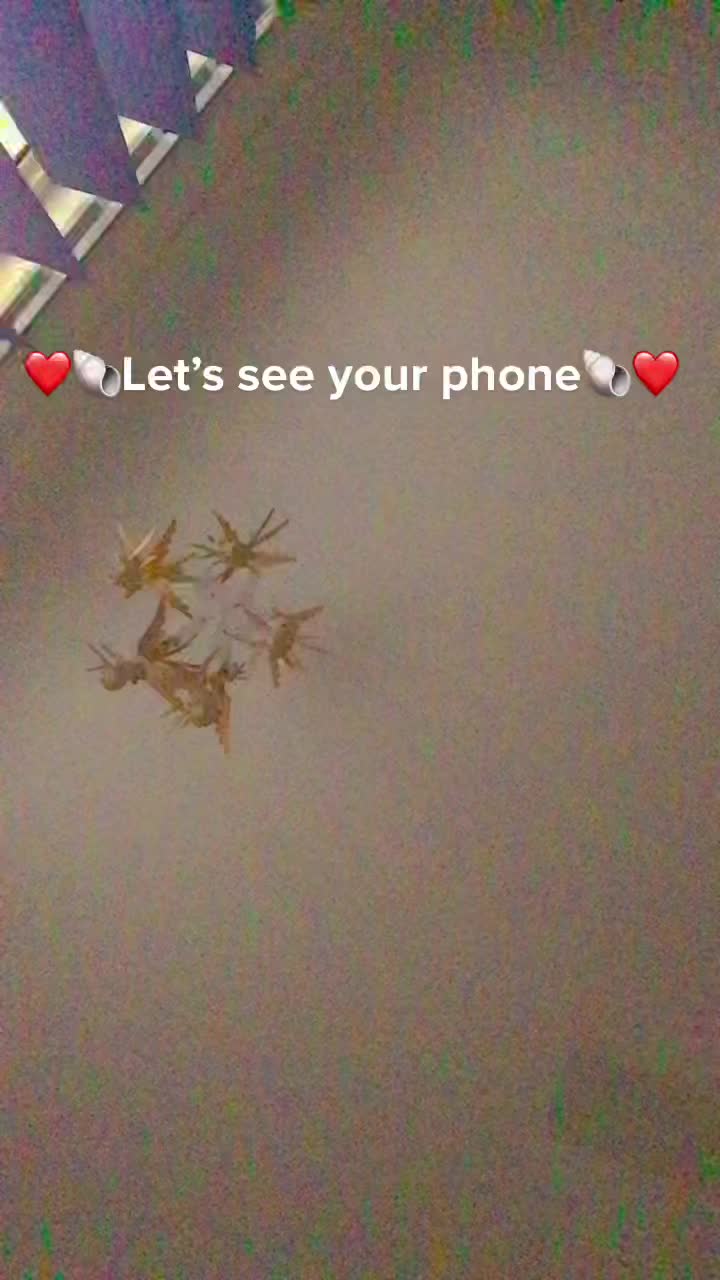 @GachaTorr