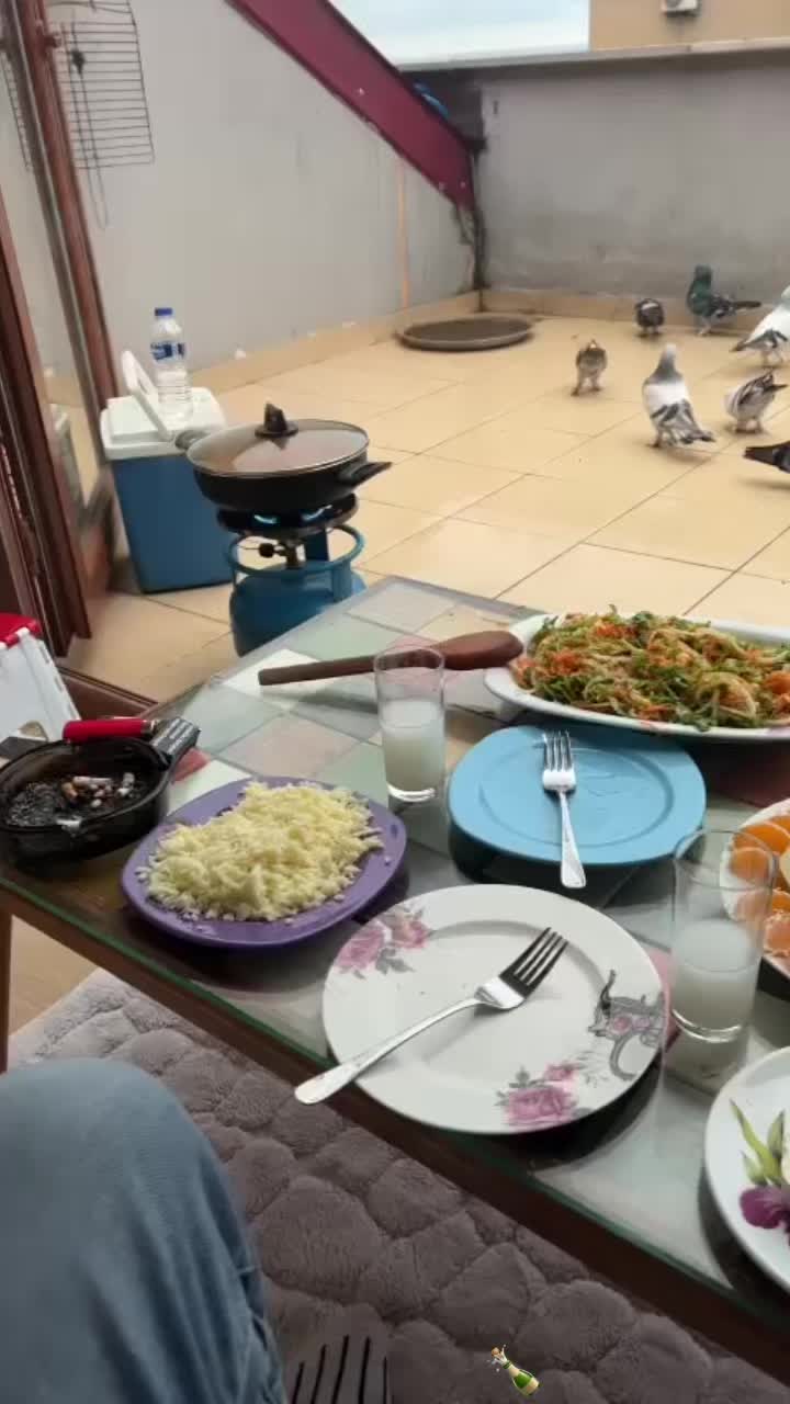 @6ertan1