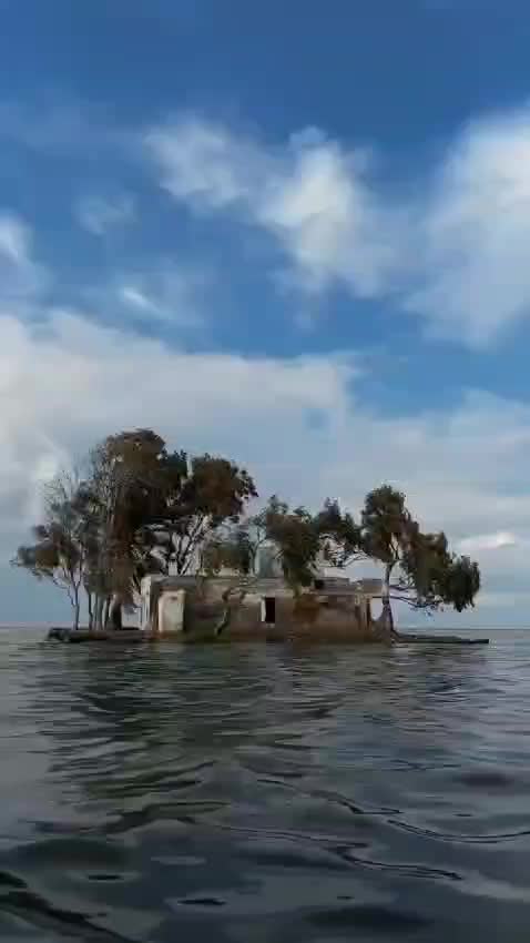 @هديل سلامة