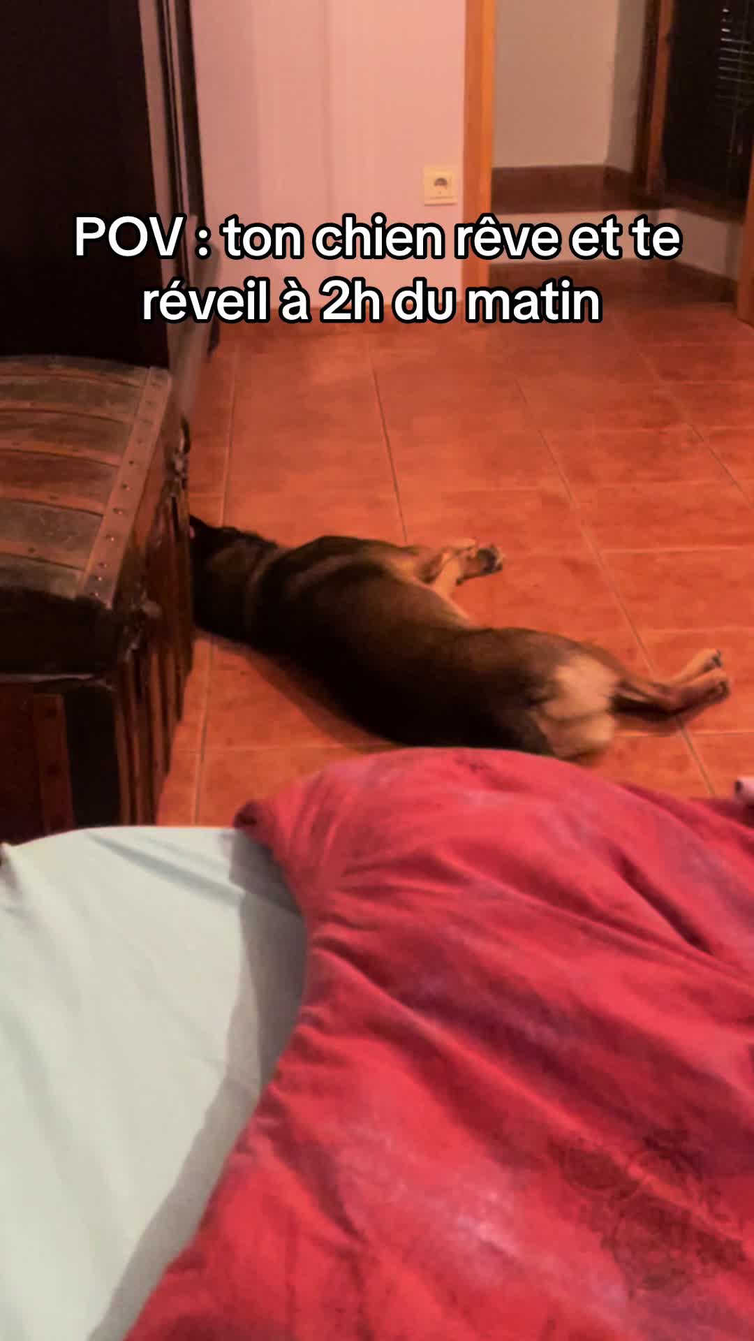 @Saïko_dreyoh