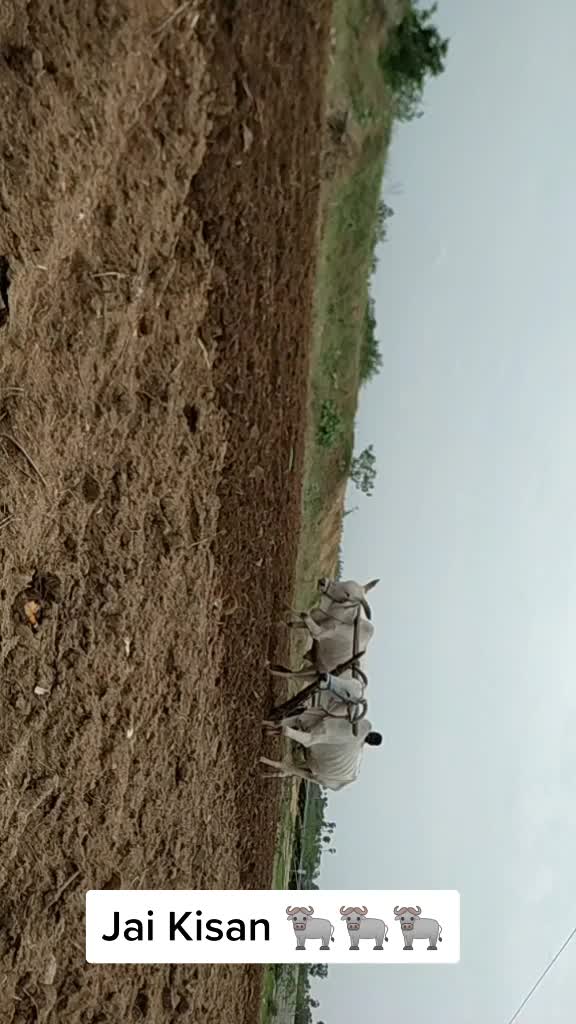 @Tharun1713