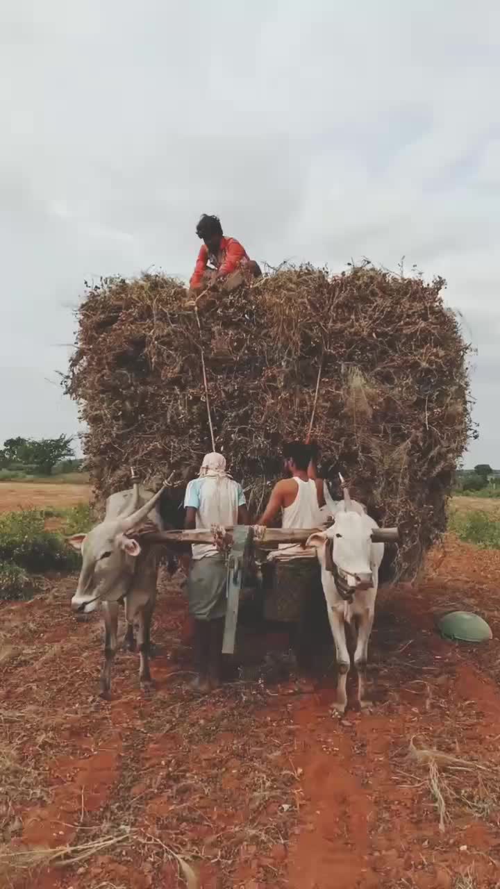 @user3594435250551