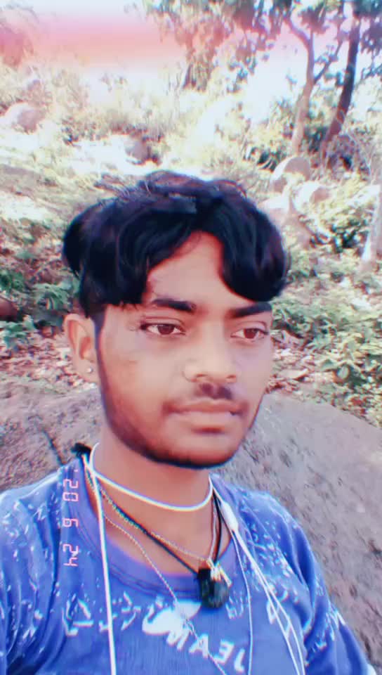 @Babu Ray Babu Ray492