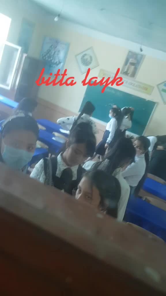 @javohirbahromov69