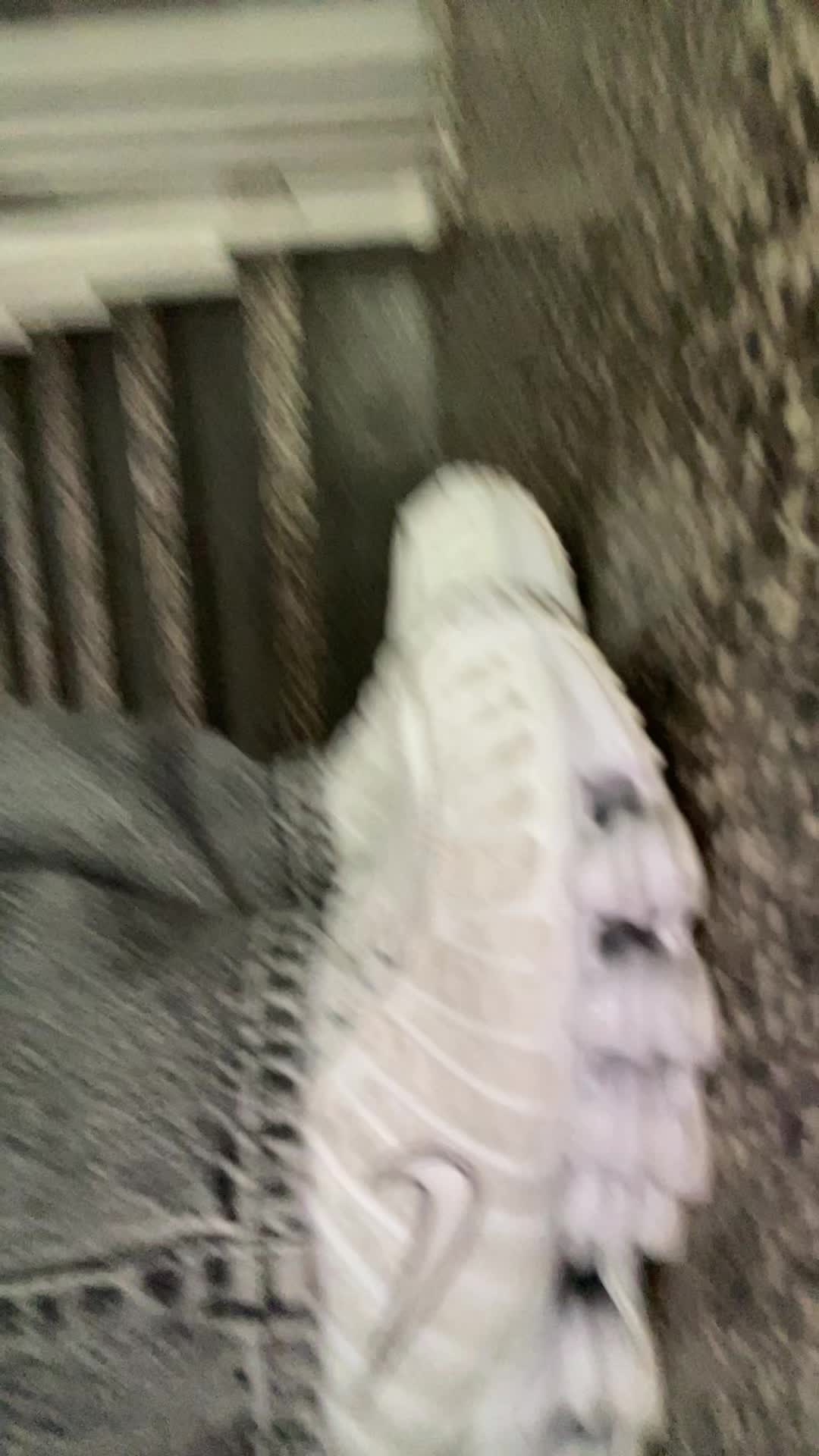 @Sky