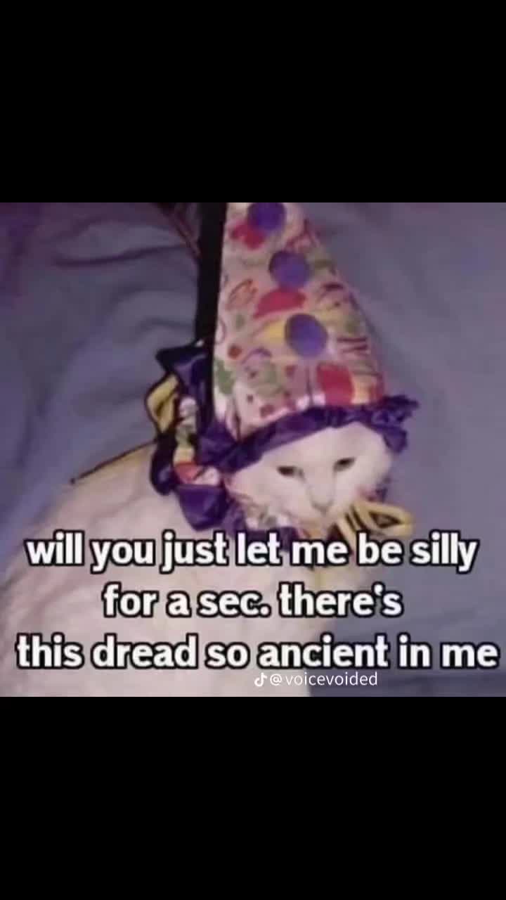 @RedditInSummation