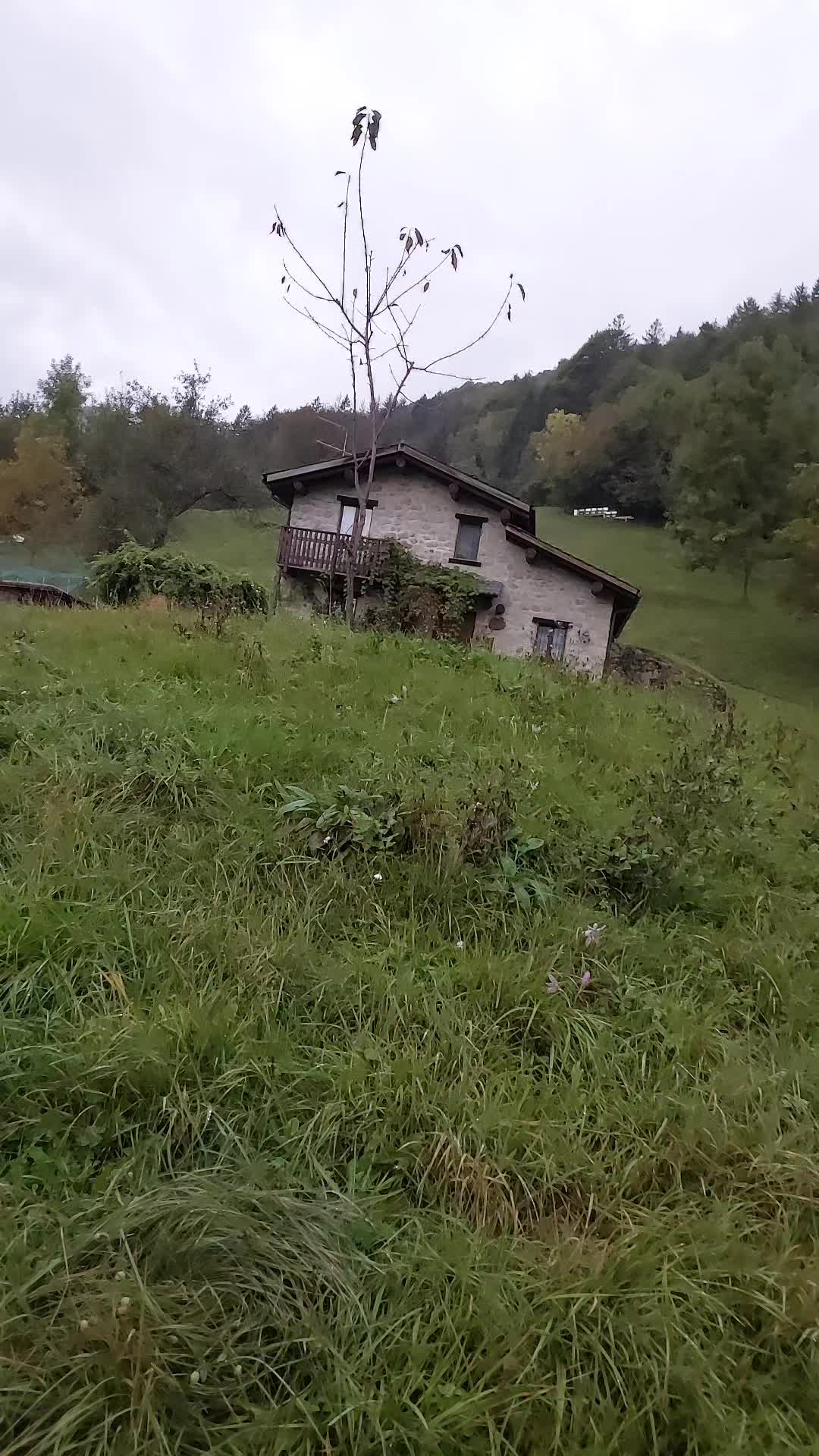 @Simona Ginestri