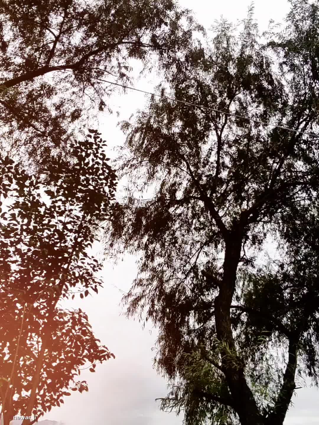 @FuCKiNg.LIFE🫩