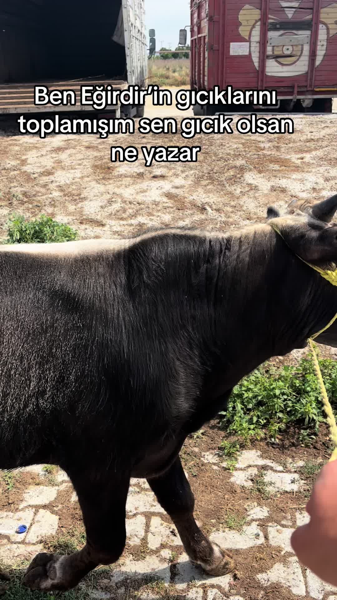 @GAZİ AKPINAR