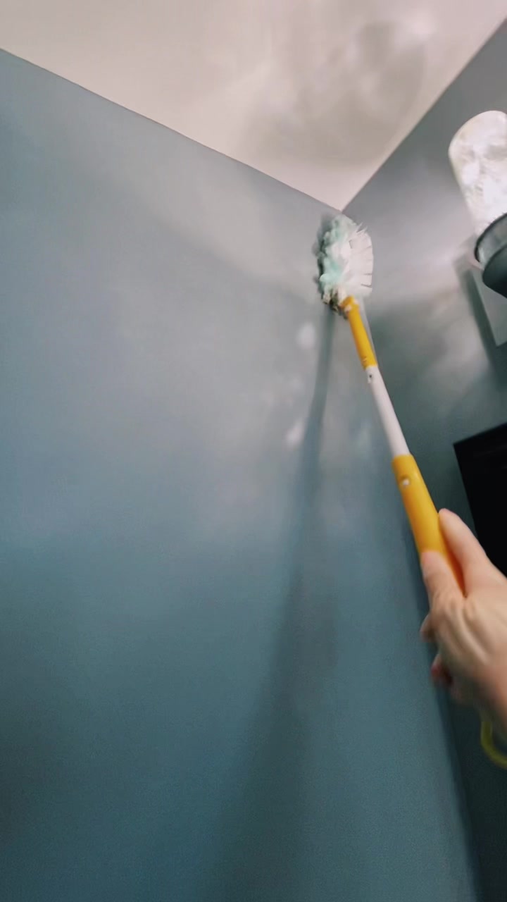 @Tidy Tulip Cleaning Service