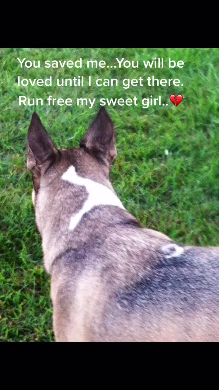 @mamashel