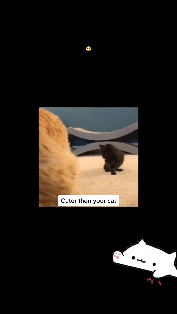 @Pet loverr