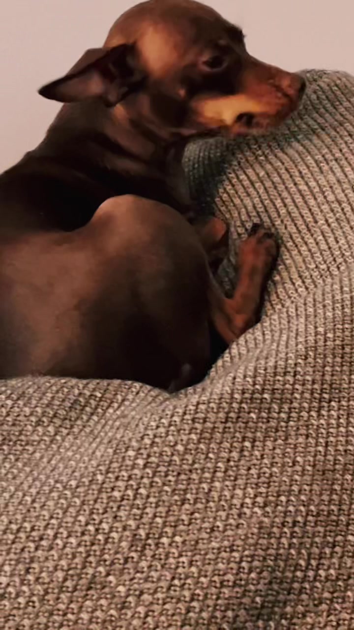 @Anastasia