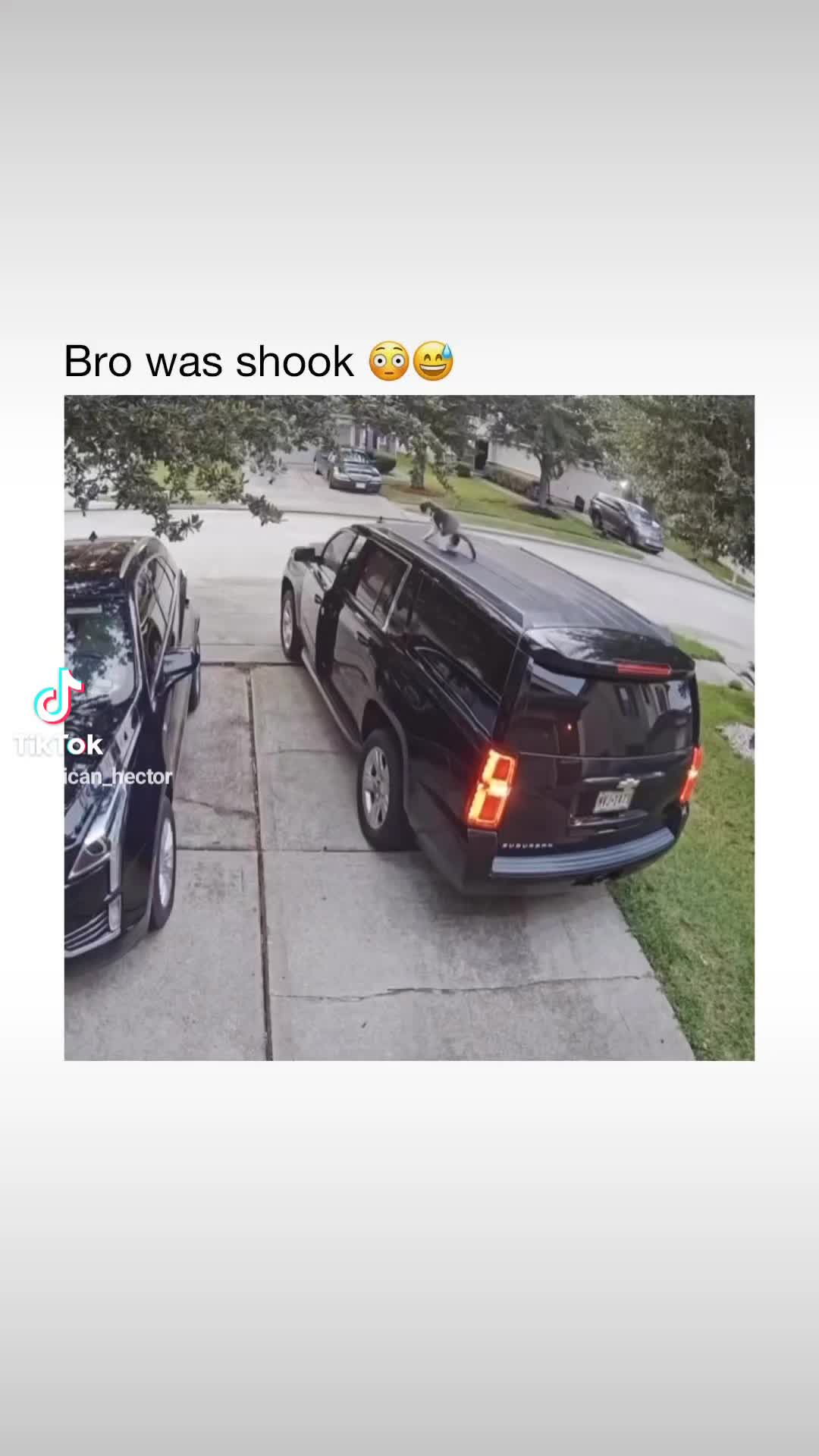 @rican_hector