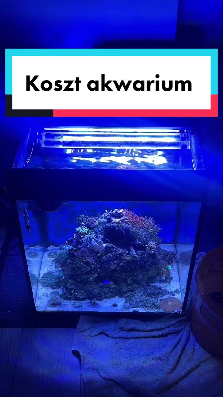 @Aquarista