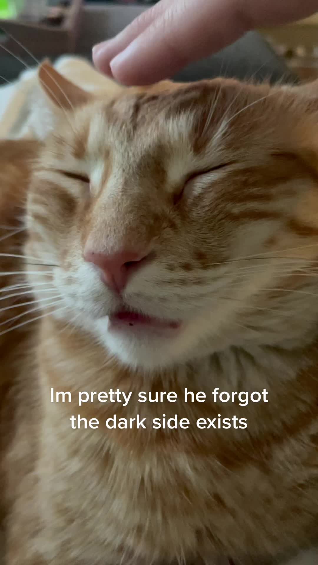 @Raja and Floof