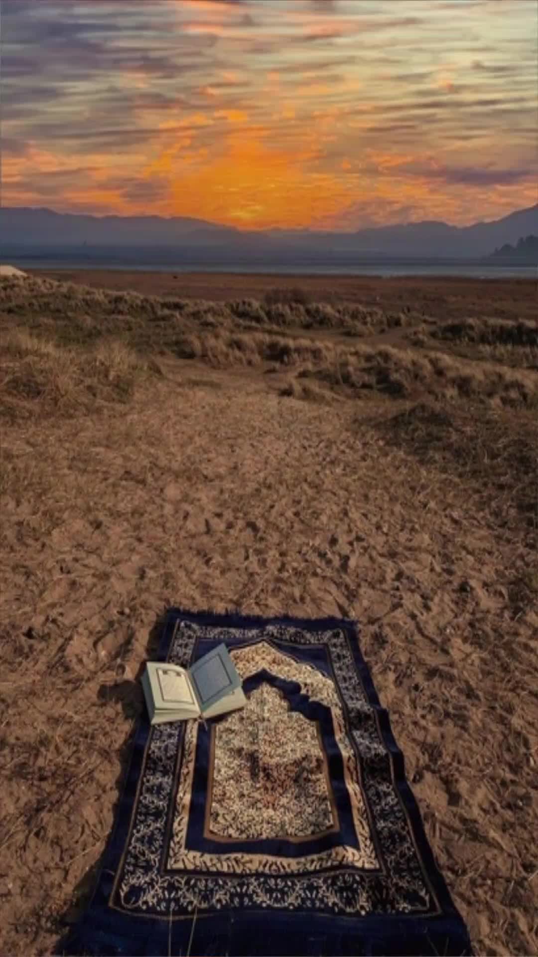 @Hafeeza_100