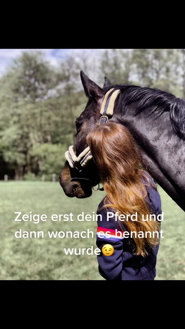 @Jojo❤️