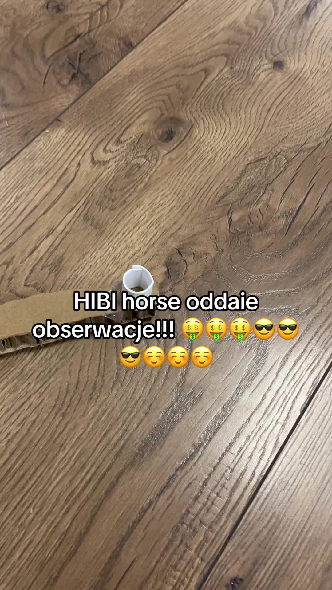 @Hibbi.horse 🐴