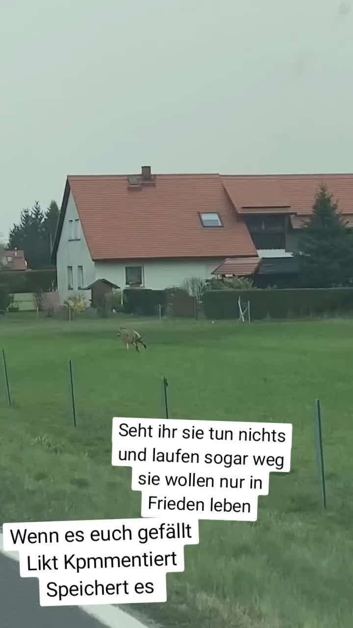 @Hope_for_the_Animals 🇦🇹