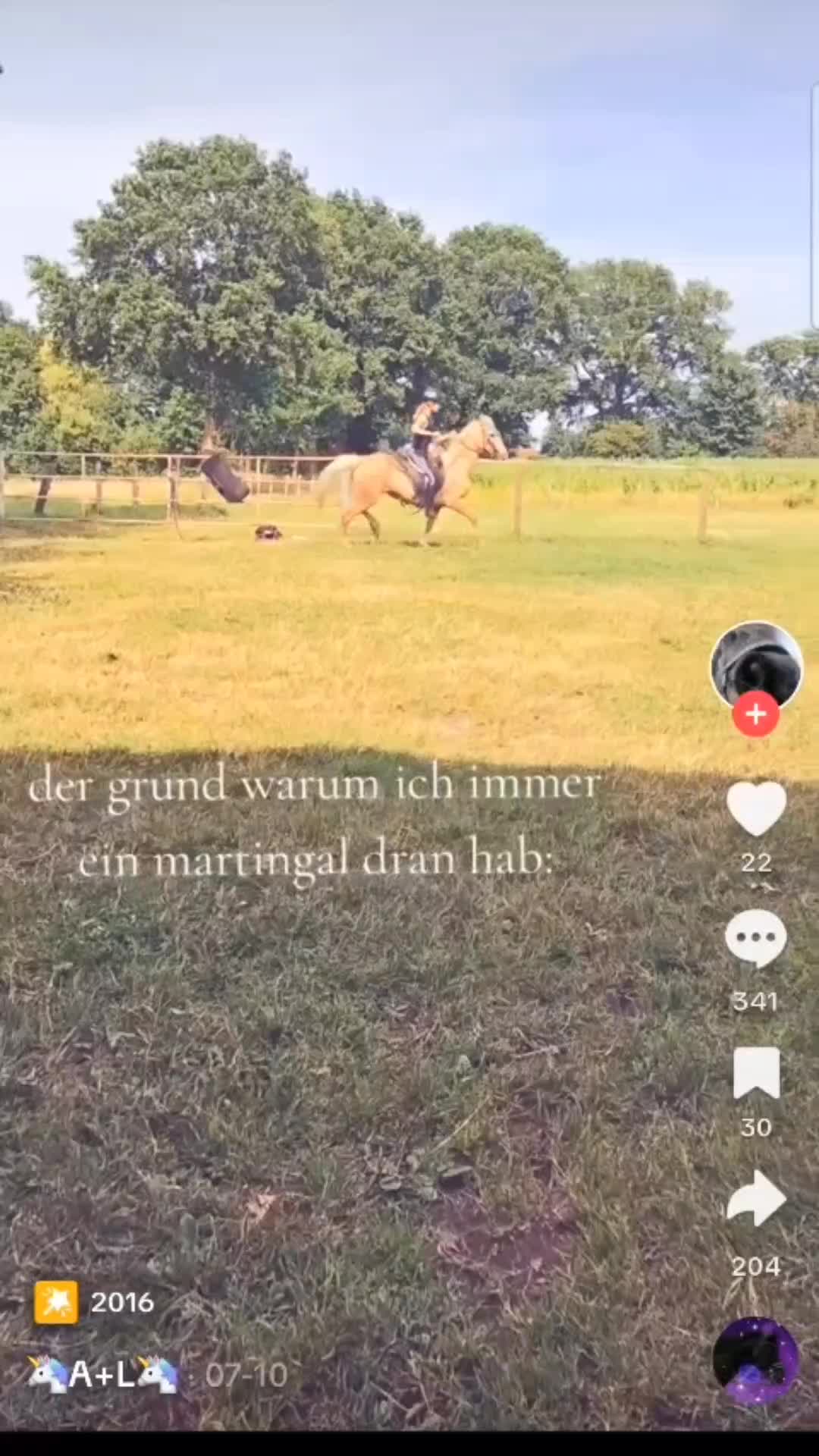 @seelenfriesen_