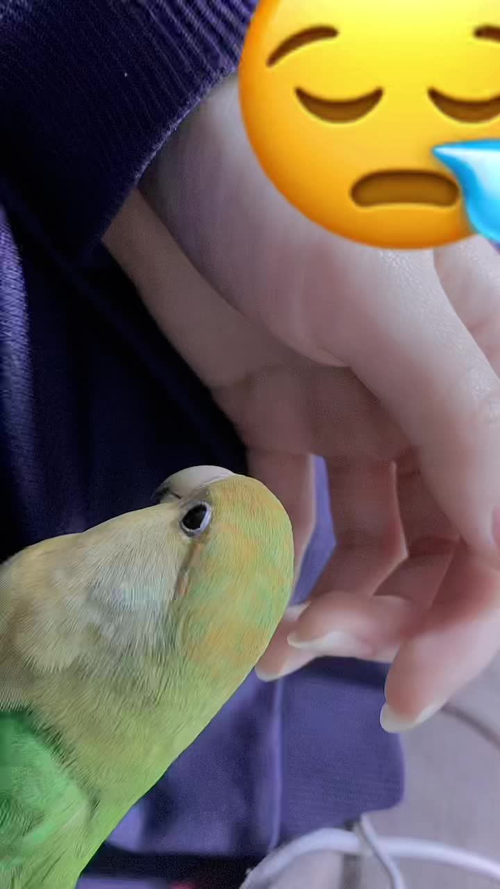 @💙