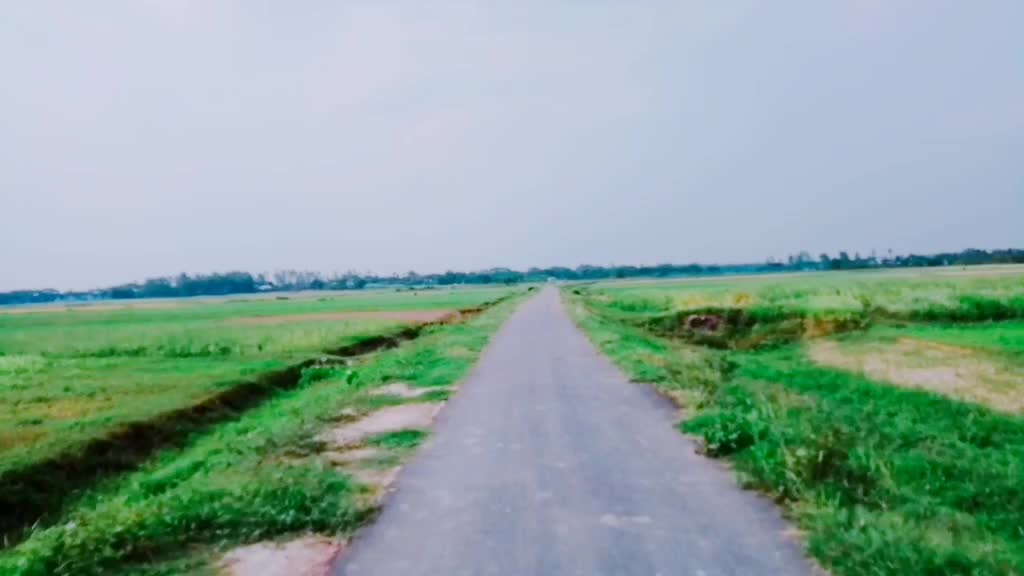 @Foysal Mollah