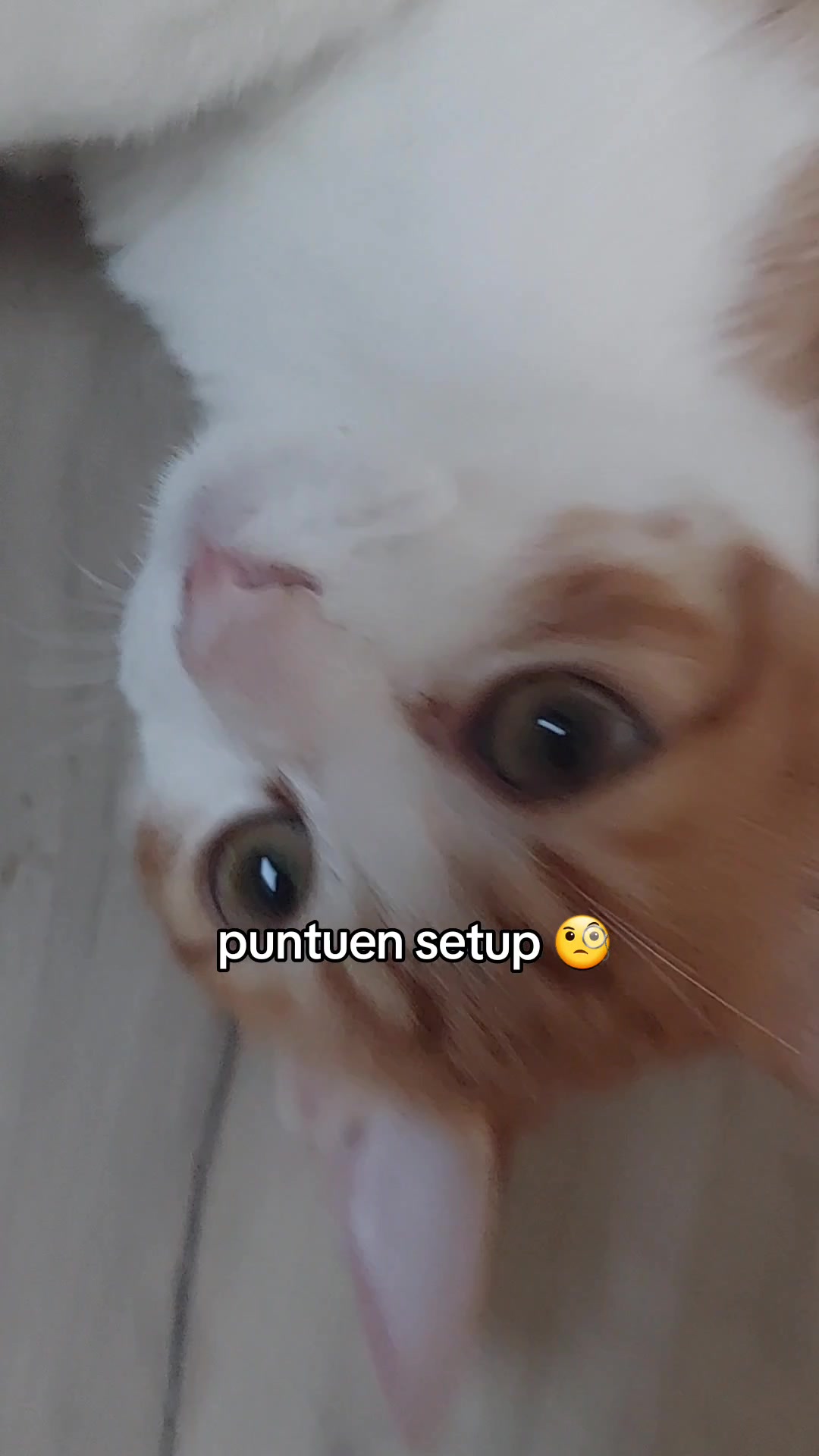 @jonbismo