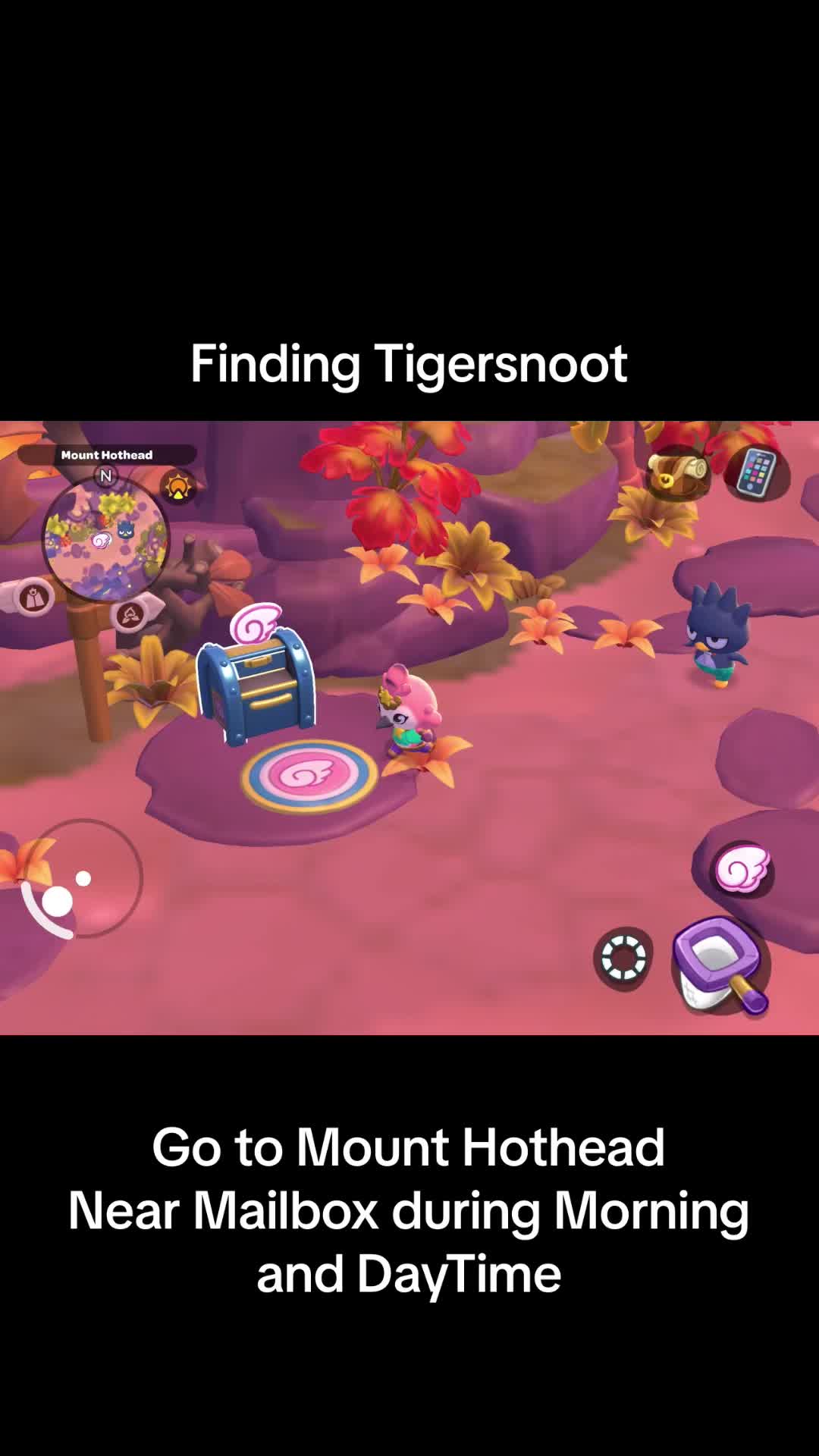 @Hello Kitty IA Tips