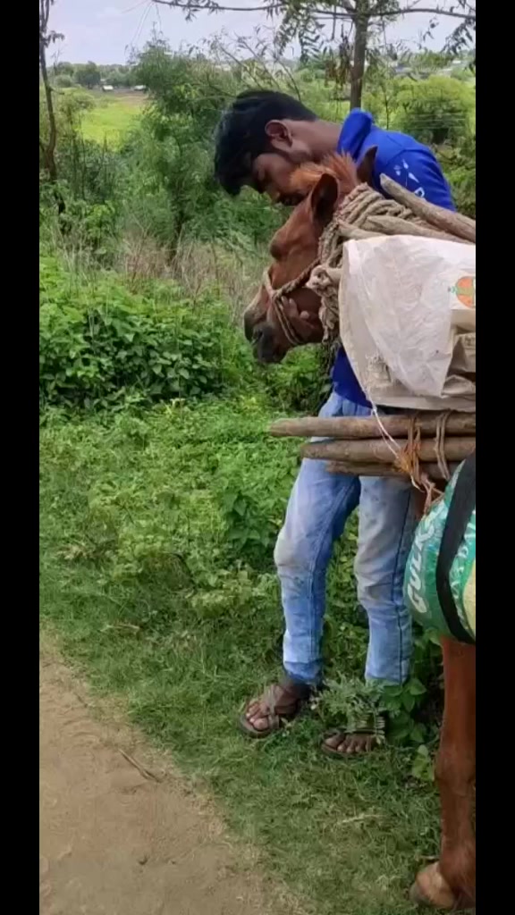 @user14311570734